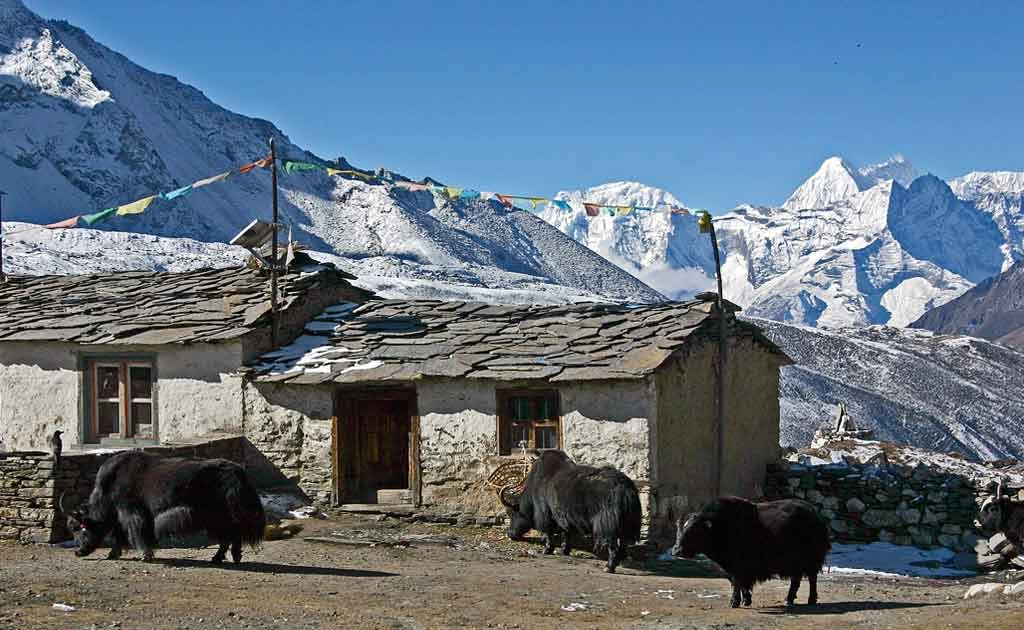Chhukung Village Travel Guide