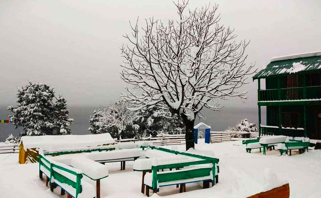 Rara Lake During Snowfall