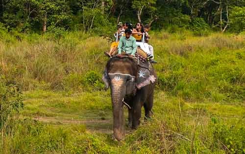 Kathmandu Chitwan TourKathmandu Chitwan Tour - Jungle Safari Tour Packages in Nepal